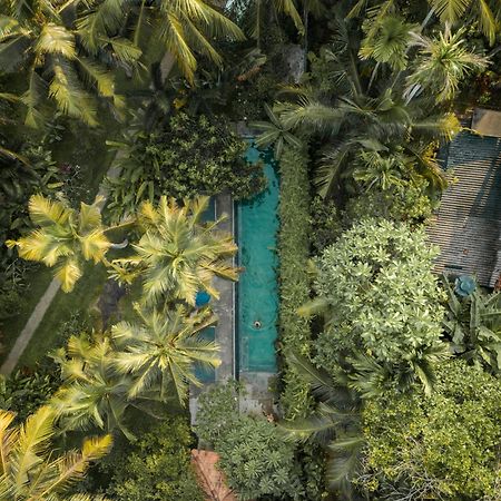 Hotel Dreamtime Hikkaduwa Zewnętrze zdjęcie