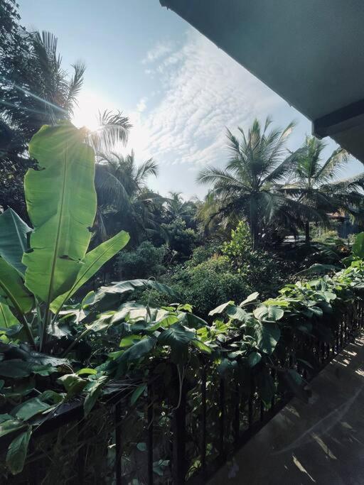 Hotel Dreamtime Hikkaduwa Zewnętrze zdjęcie